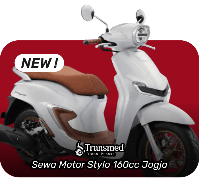 Stylo 160cc